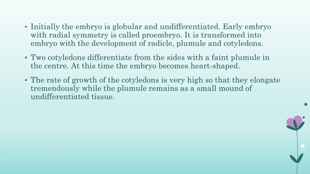 initially the embryo is globular