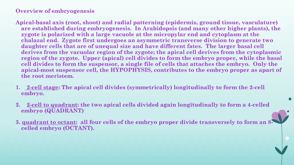 overview of embryogenesis