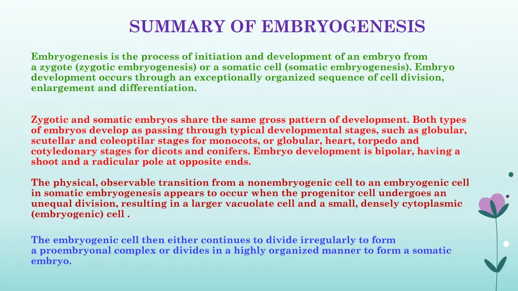 summary of embryogenesis