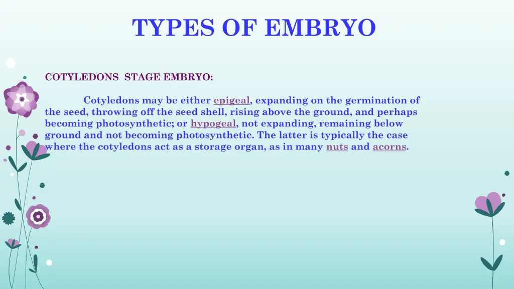 types of embryo