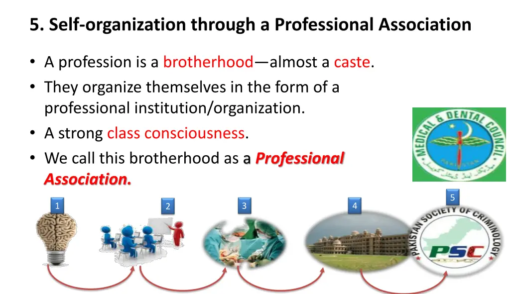 5 self organization through a professional