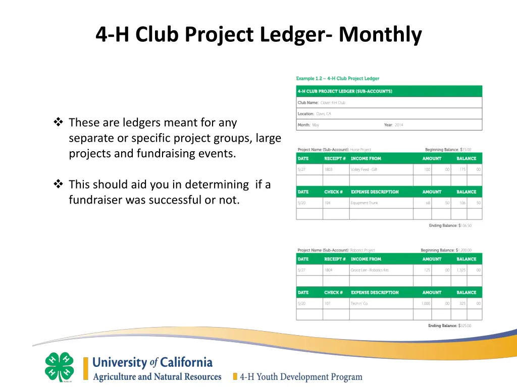 4 h club project ledger monthly