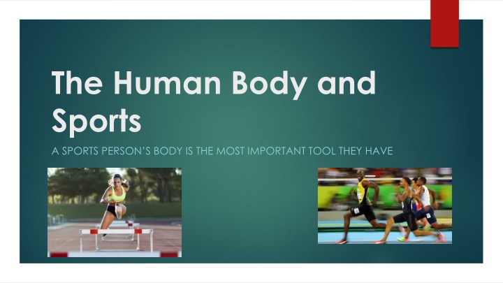 the human body and sports