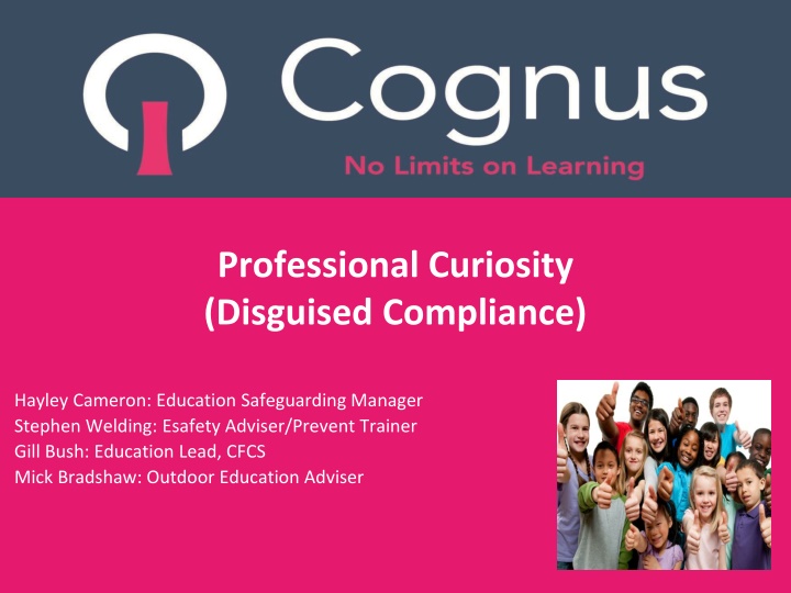 professional curiosity disguised compliance