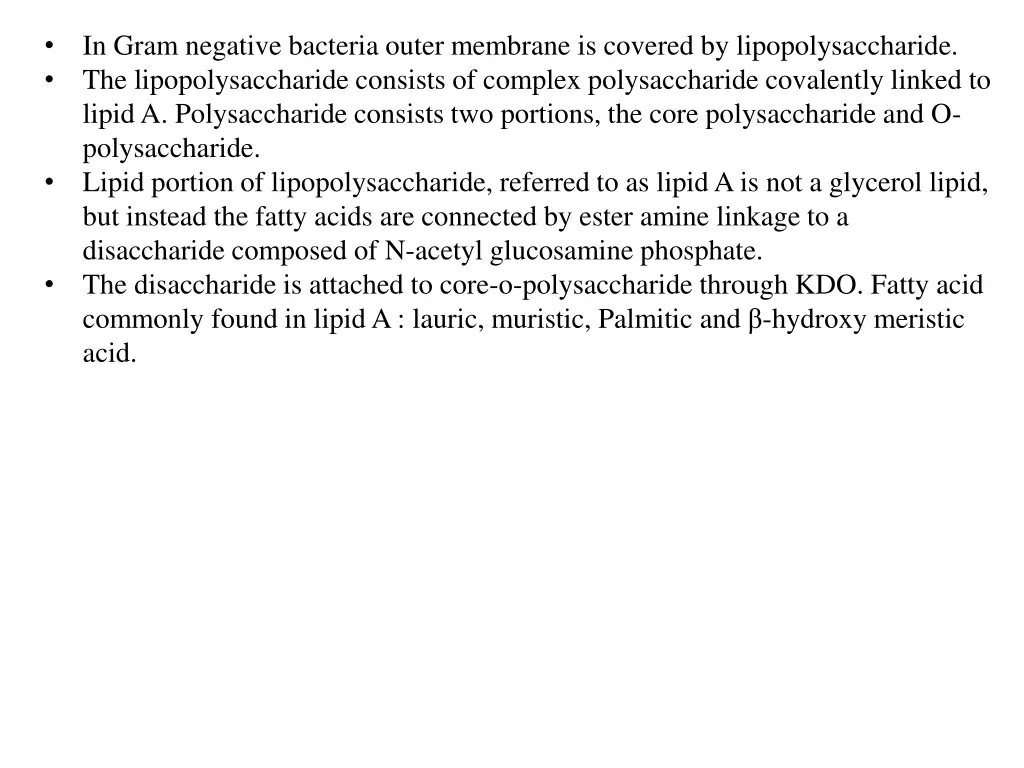 in gram negative bacteria outer membrane