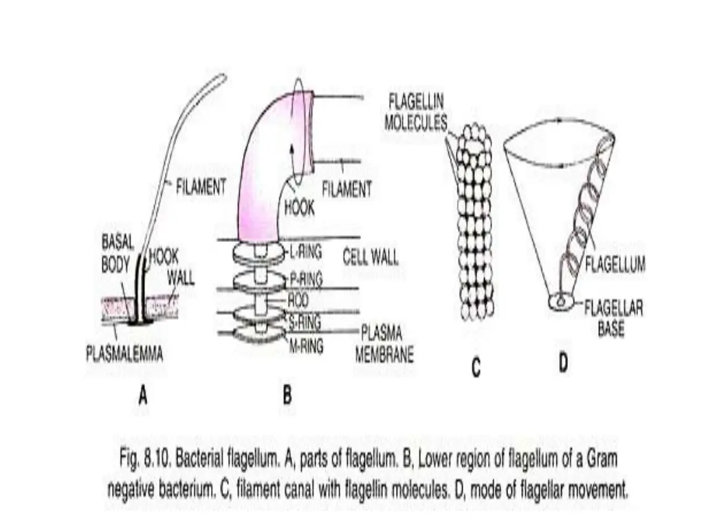 slide27