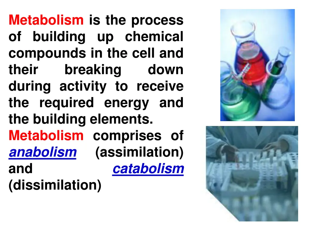 metabolism is the process of building up chemical