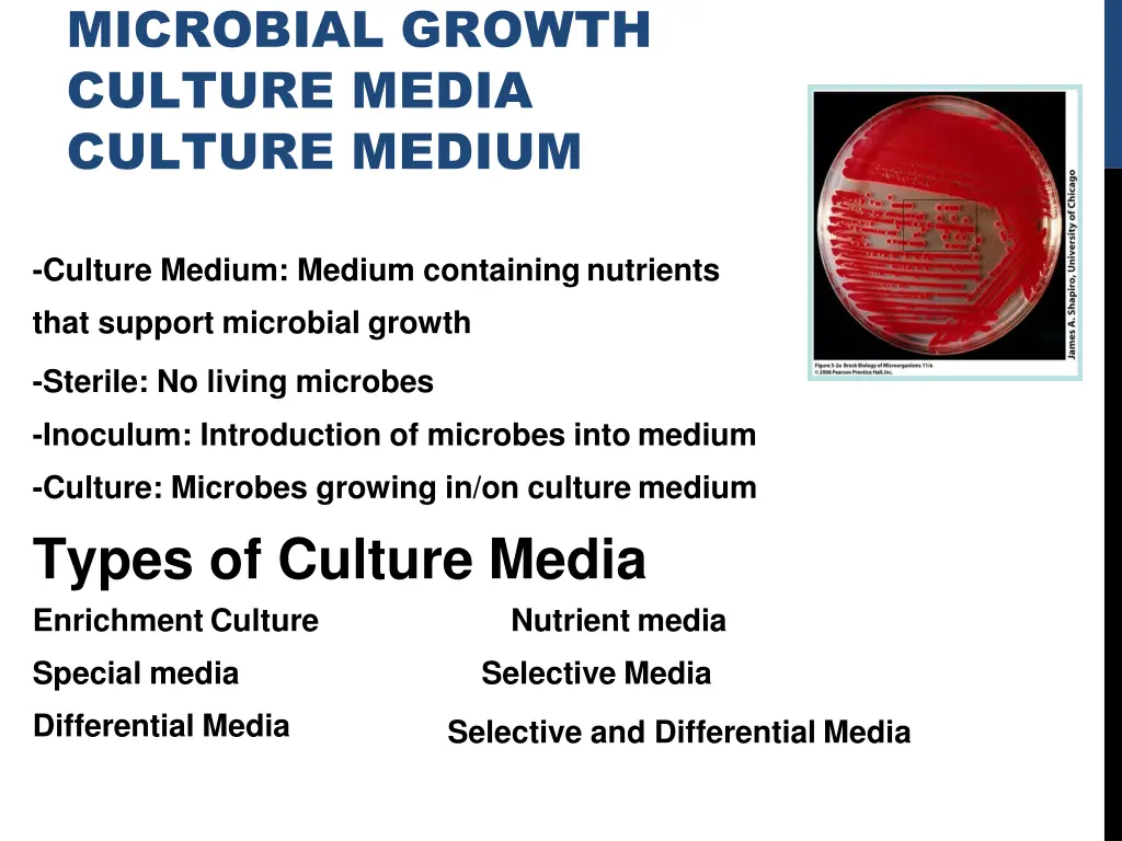 microbial growth culture media culture medium