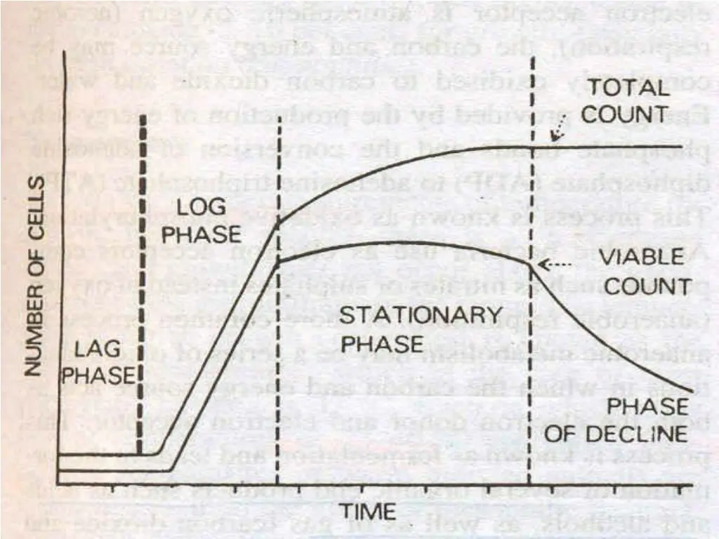 slide21