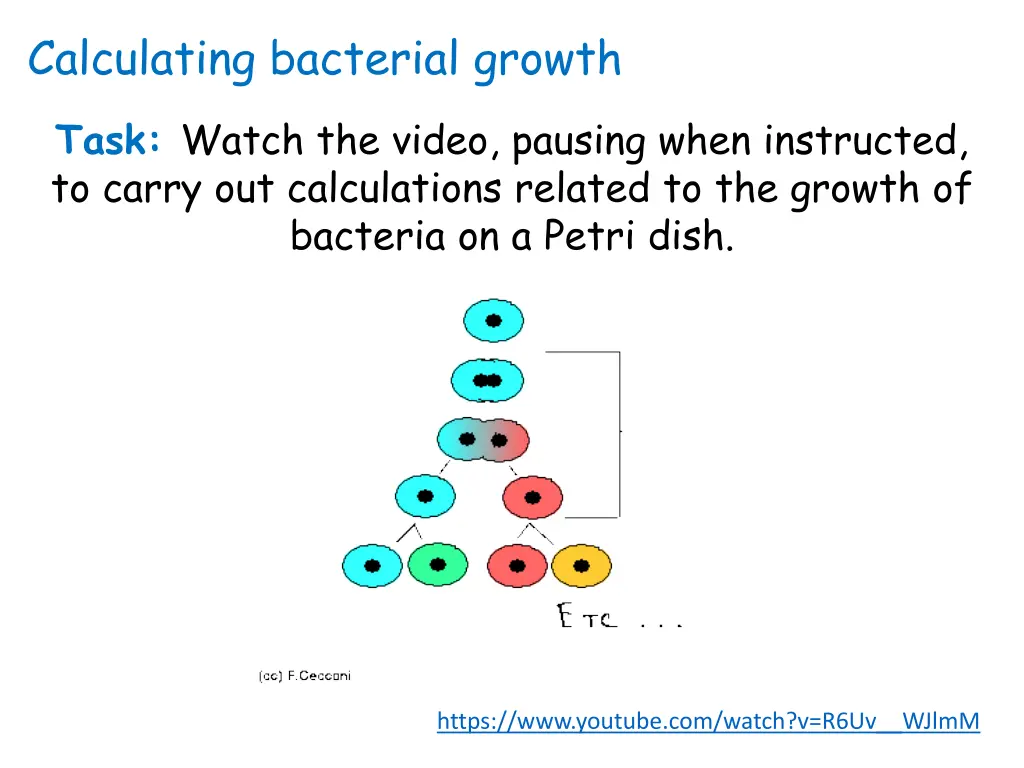 calculating bacterial growth