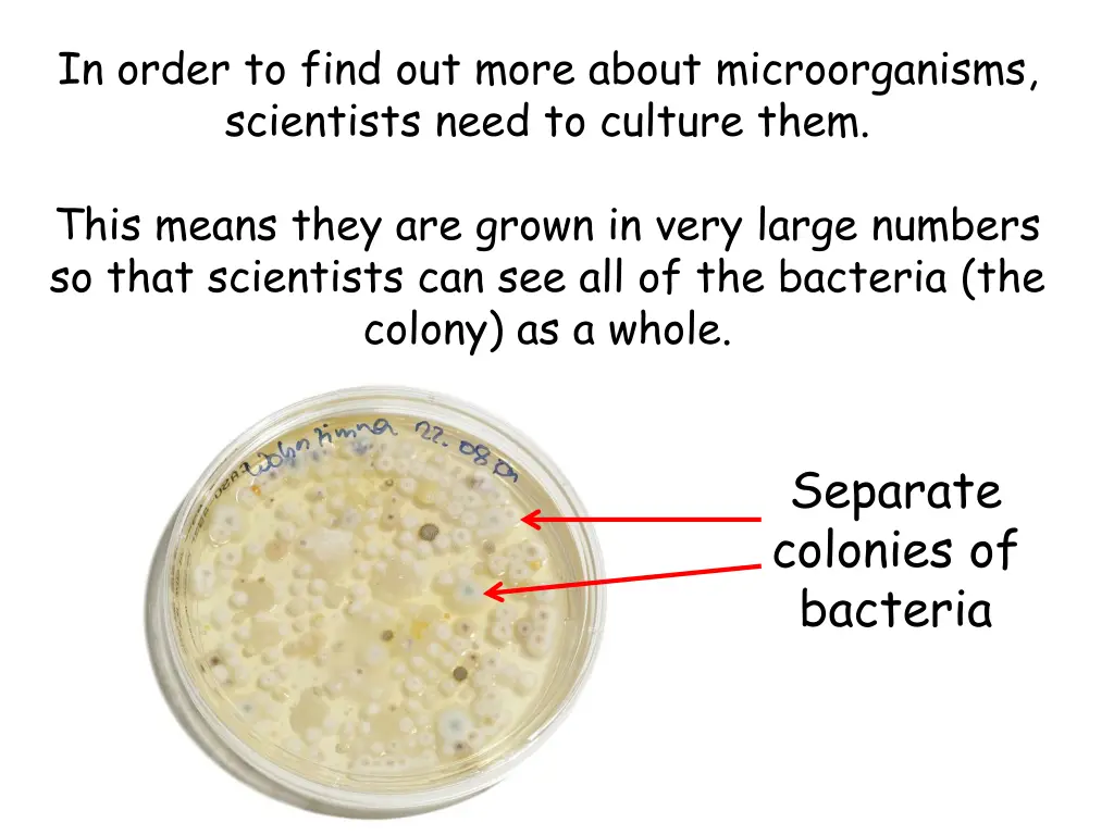 in order to find out more about microorganisms