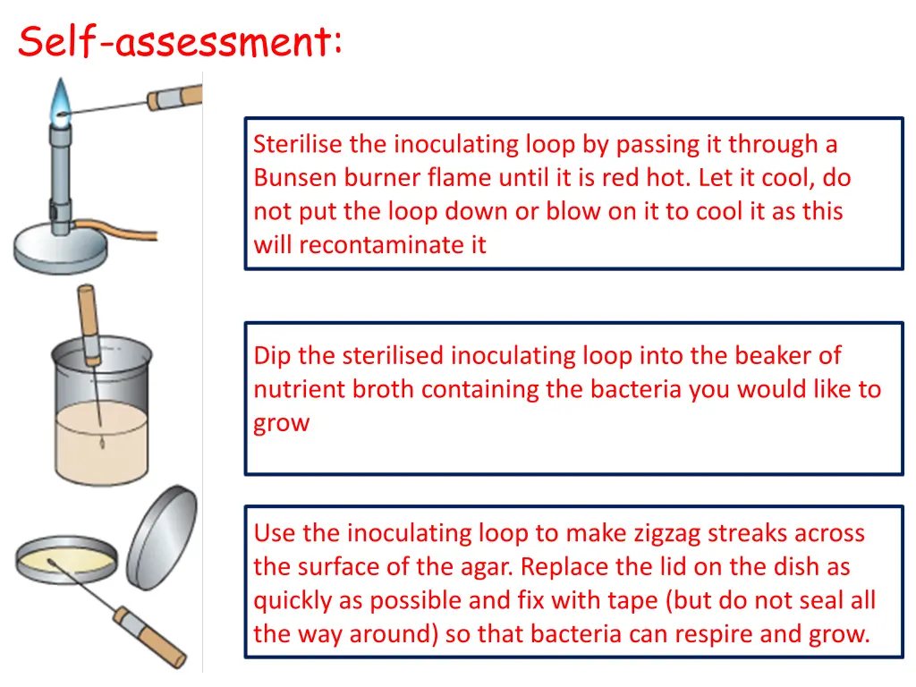 self assessment 1