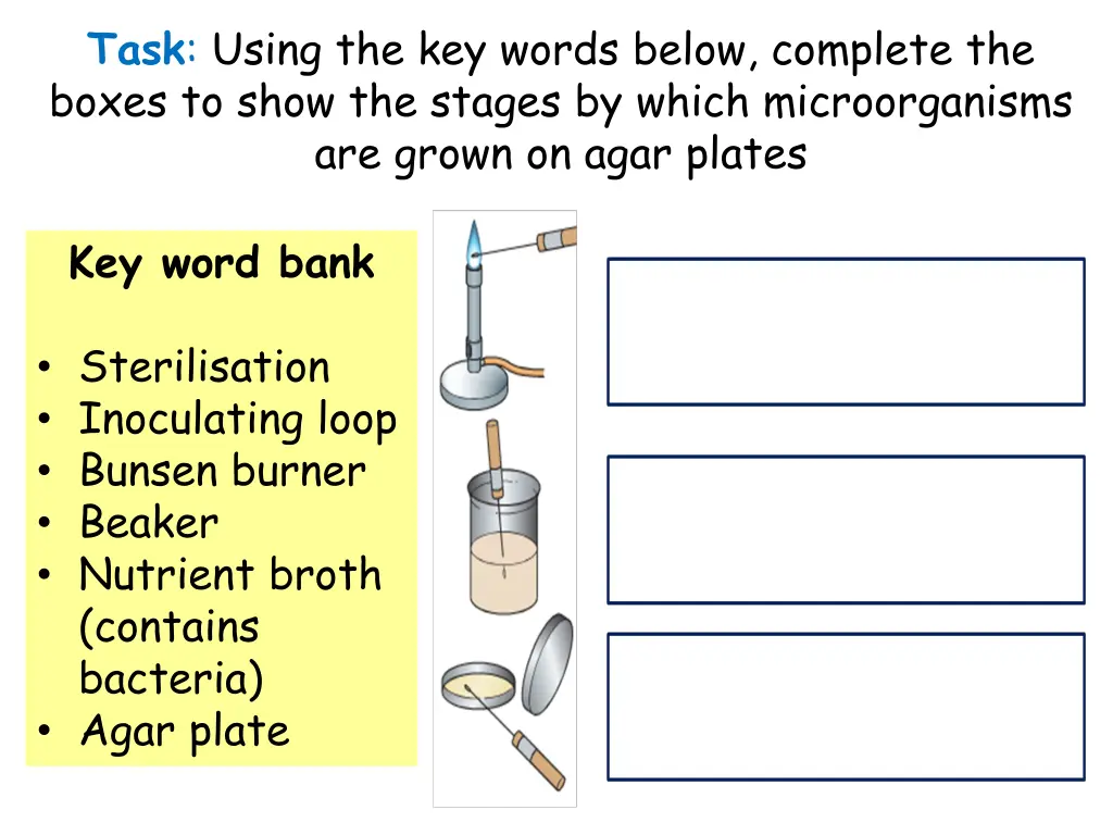 task using the key words below complete the boxes