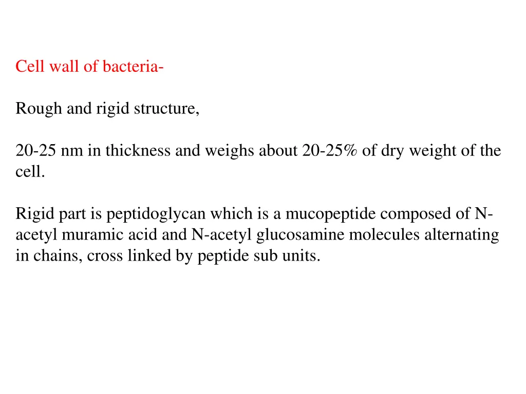 cell wall of bacteria