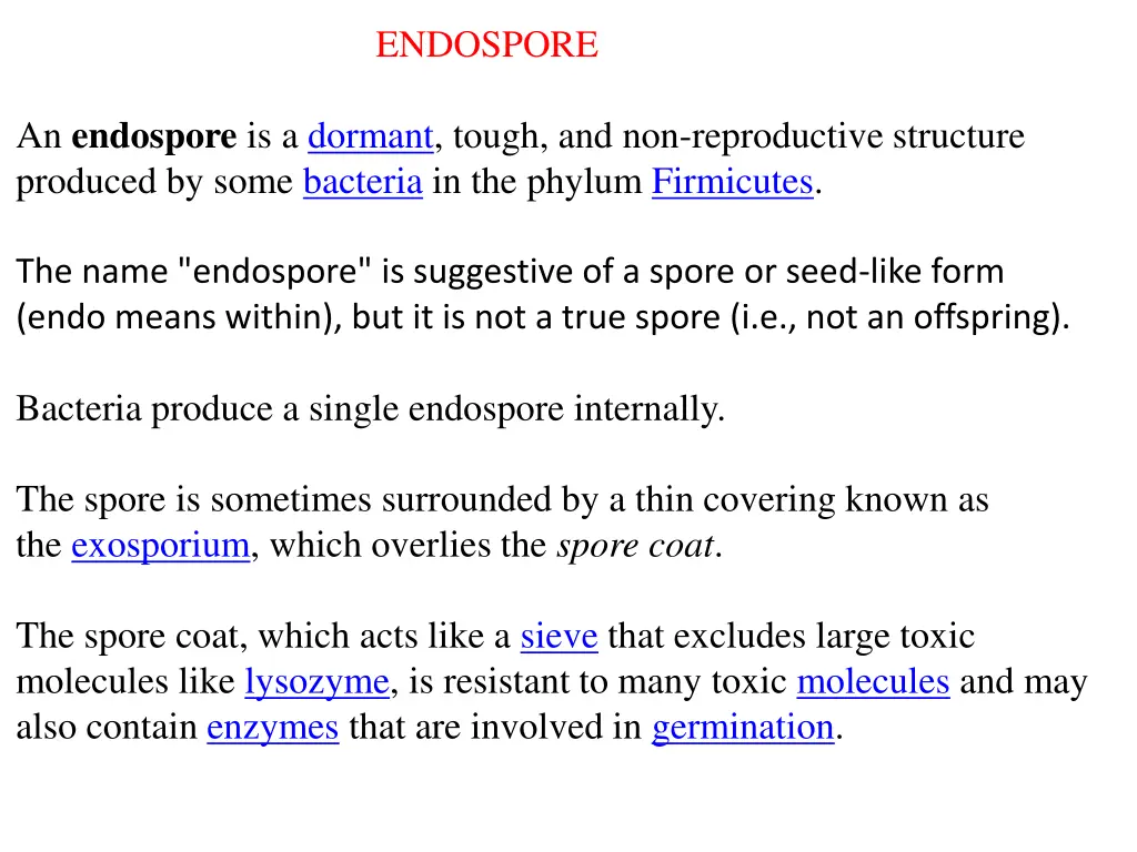 endospore