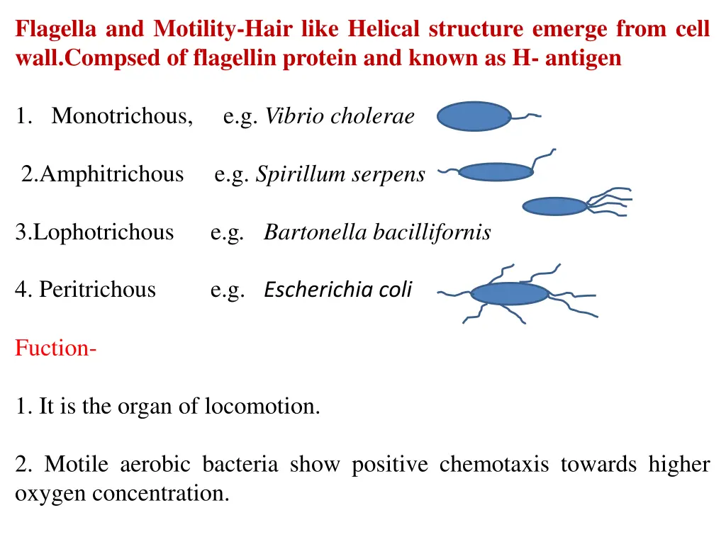 flagella and motility hair like helical structure