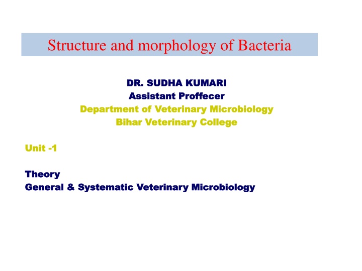 structure and morphology of bacteria