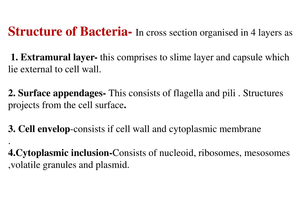 structure of bacteria in cross section organised