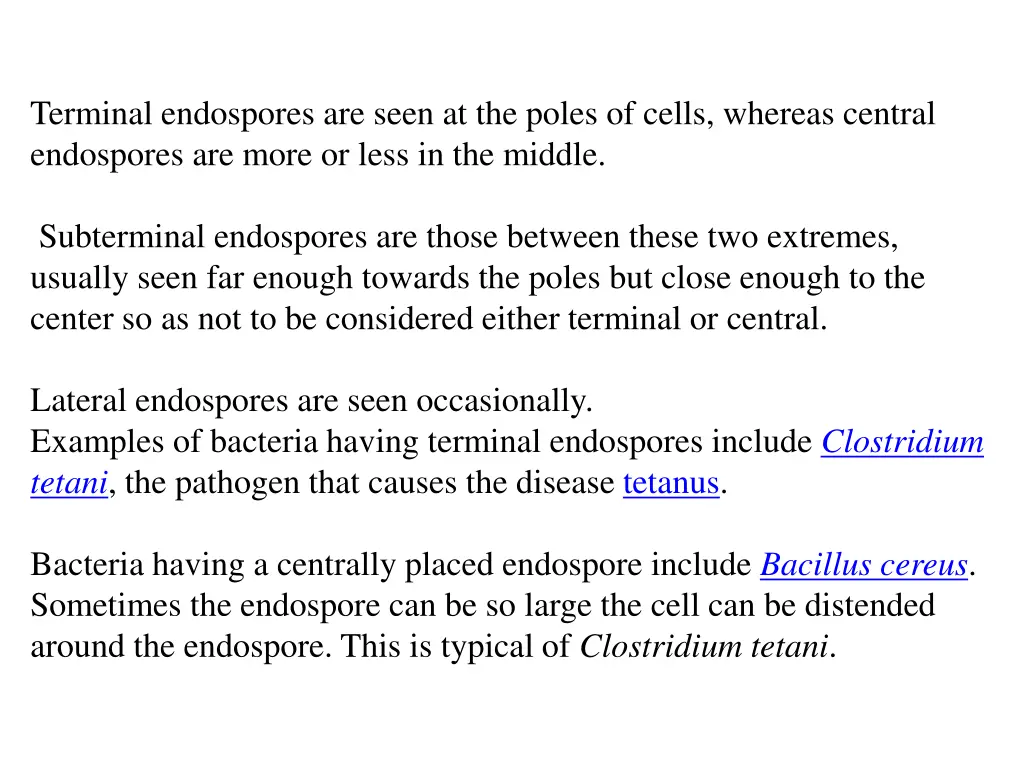 terminal endospores are seen at the poles