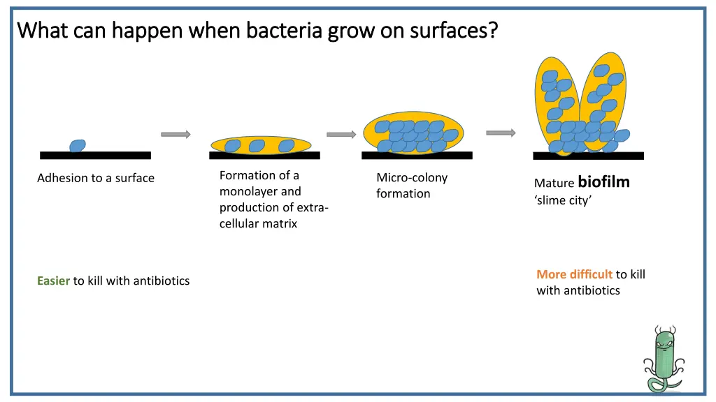 what can happen when bacteria grow on surfaces