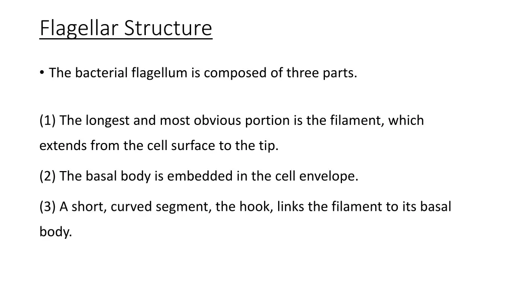 flagellar structure