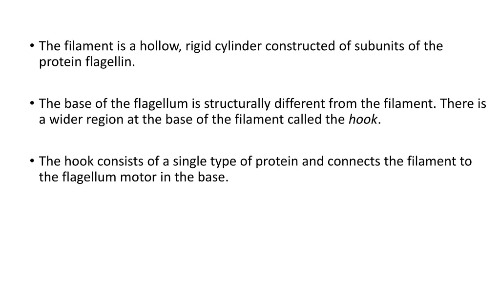 the filament is a hollow rigid cylinder