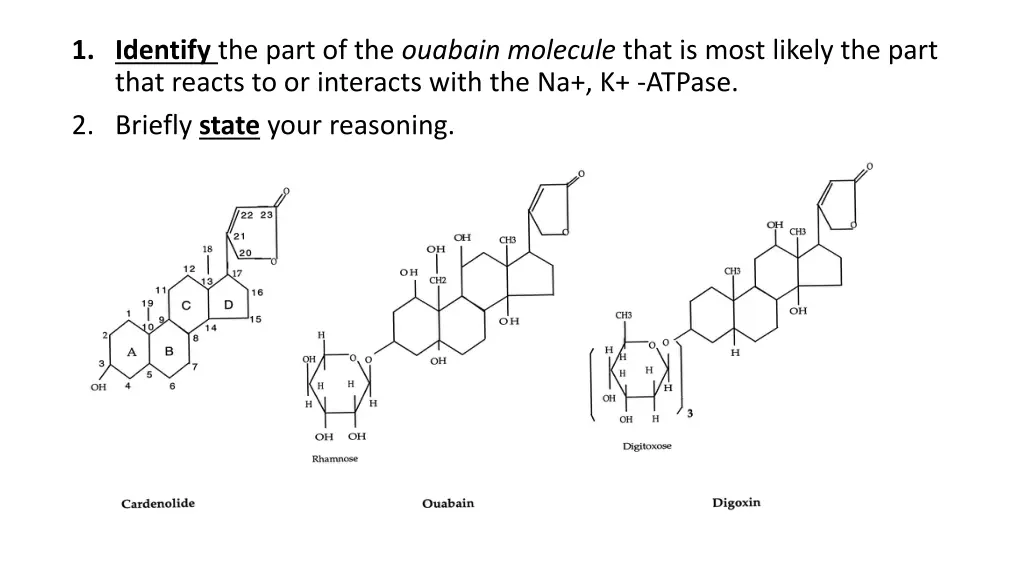 1 identify the part of the ouabain molecule that