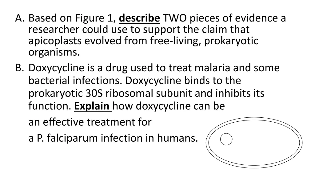 a based on figure 1 describe two pieces