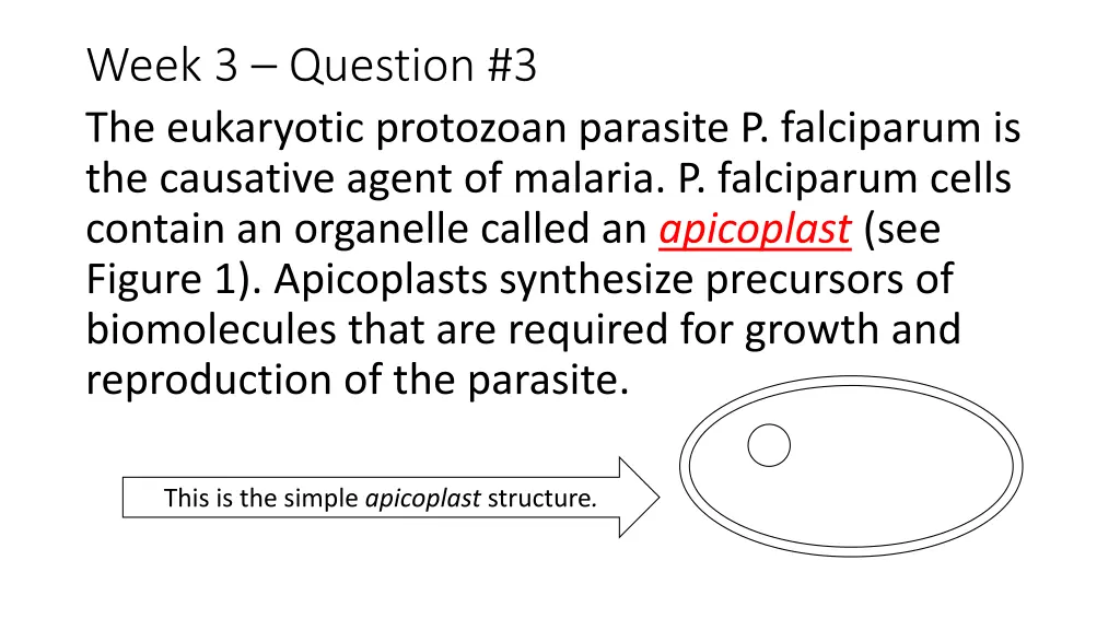 week 3 question 3 the eukaryotic protozoan