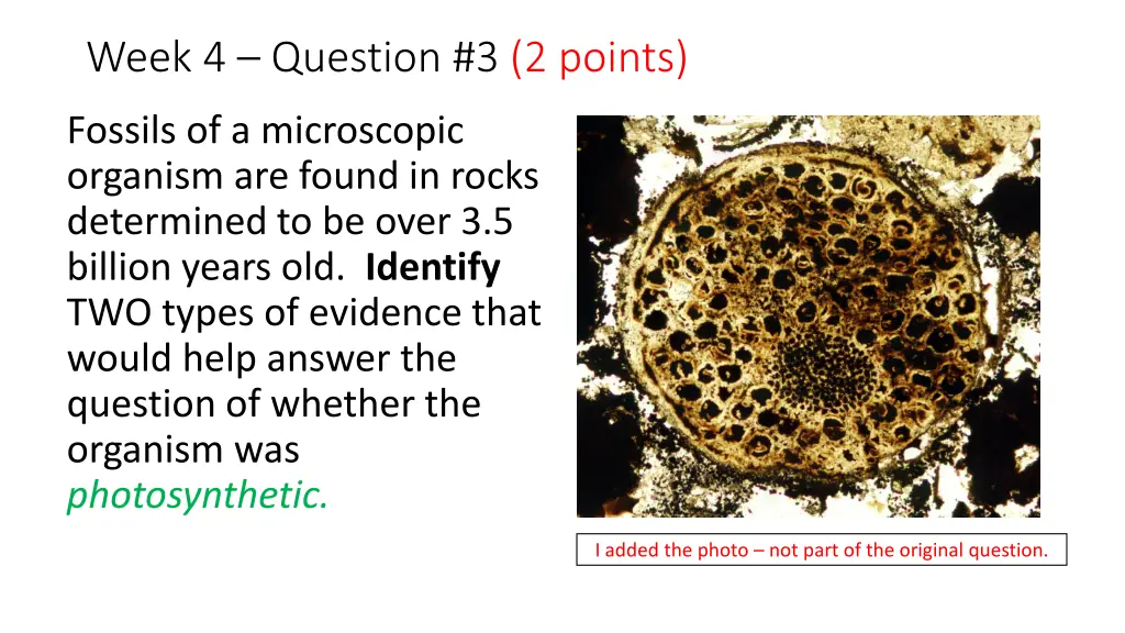 week 4 question 3 2 points