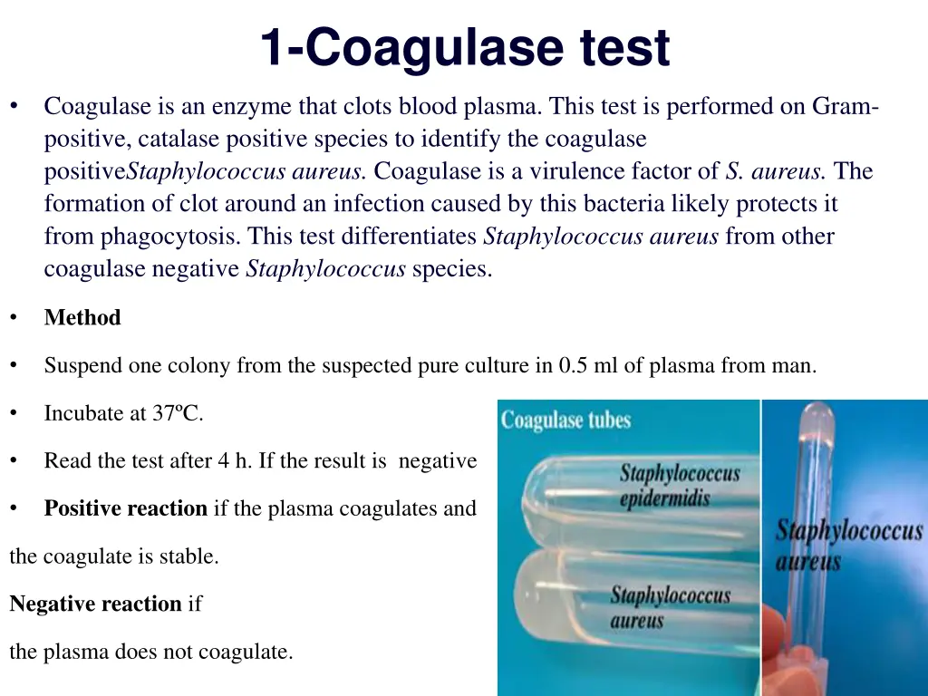 1 coagulase test