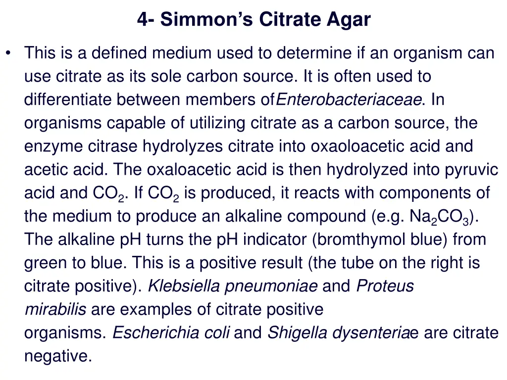 4 simmon s citrate agar