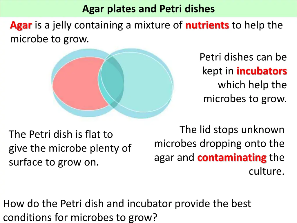 agar plates and petri dishes