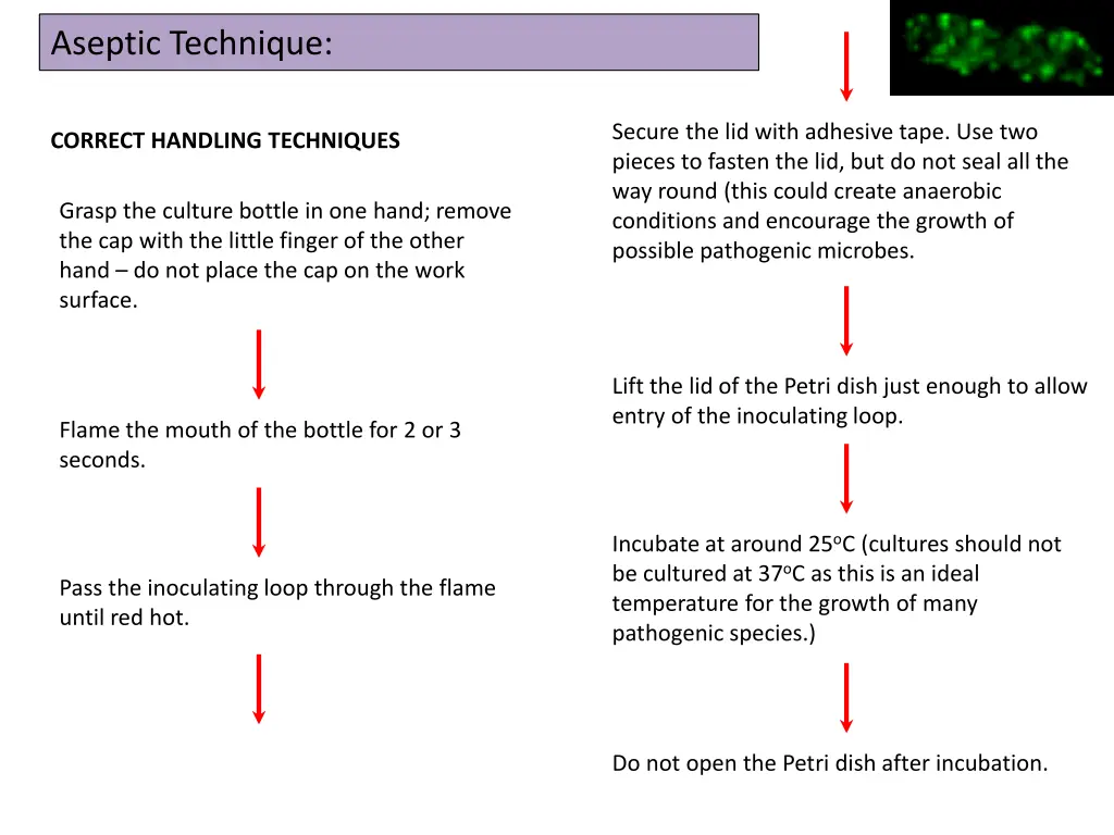 aseptic technique