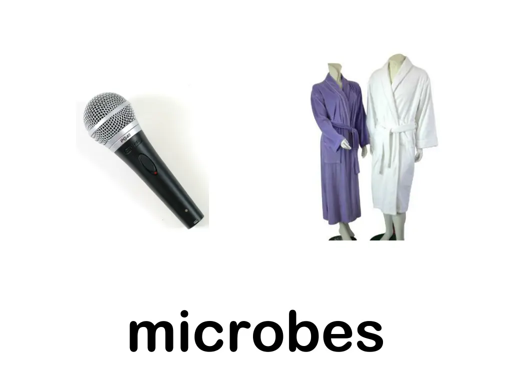 microbes