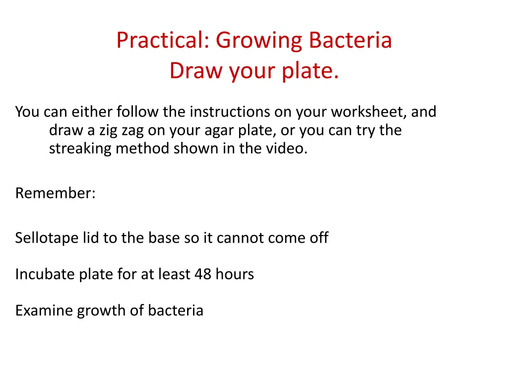 practical growing bacteria draw your plate