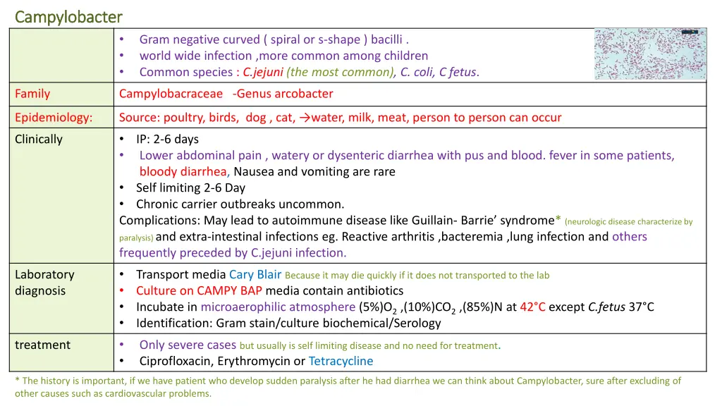 campylobacter campylobacter