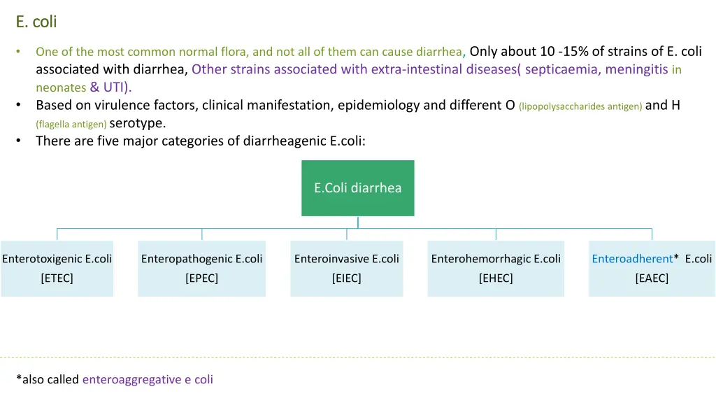 e coli e coli