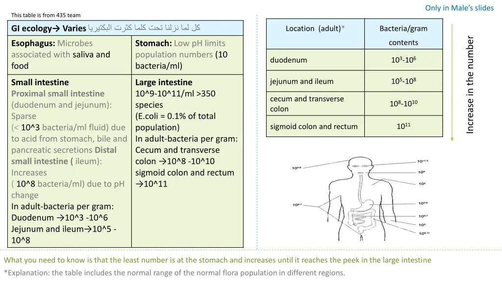 only in male s slides