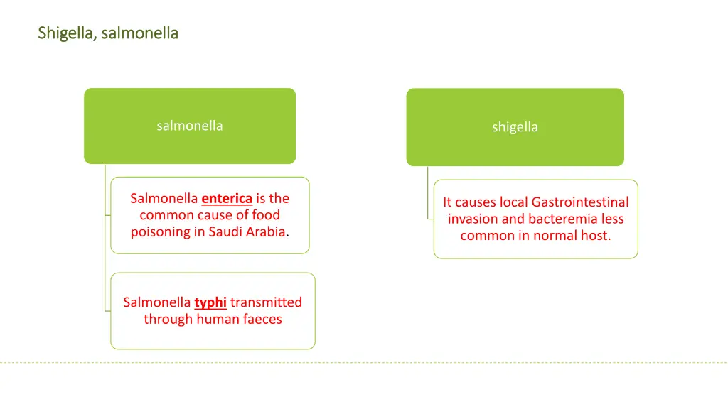 shigella salmonella shigella salmonella