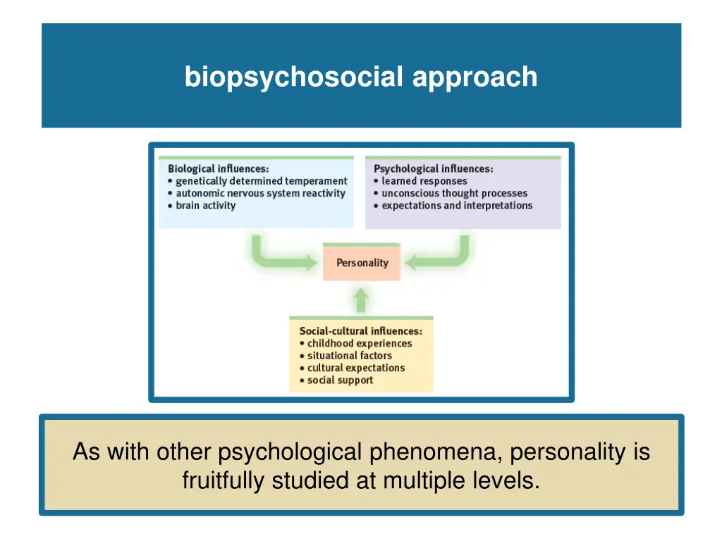 biopsychosocial approach