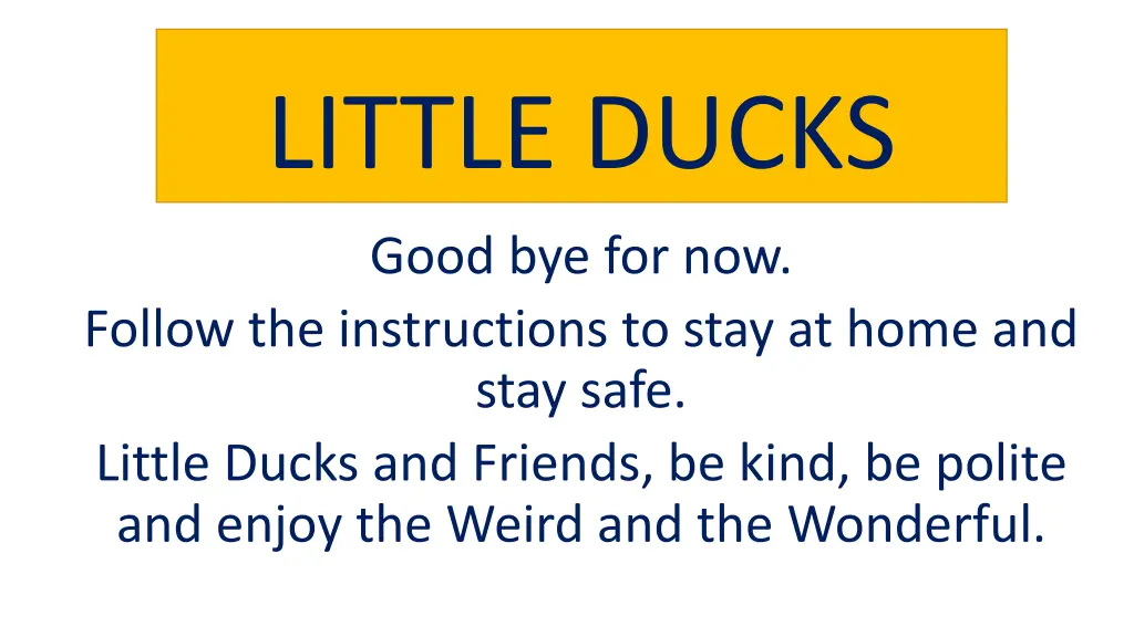 little ducks 1