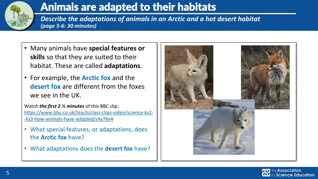 animals are adapted to their habitats animals