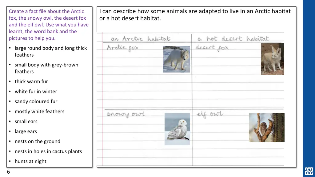 i can describe how some animals are adapted