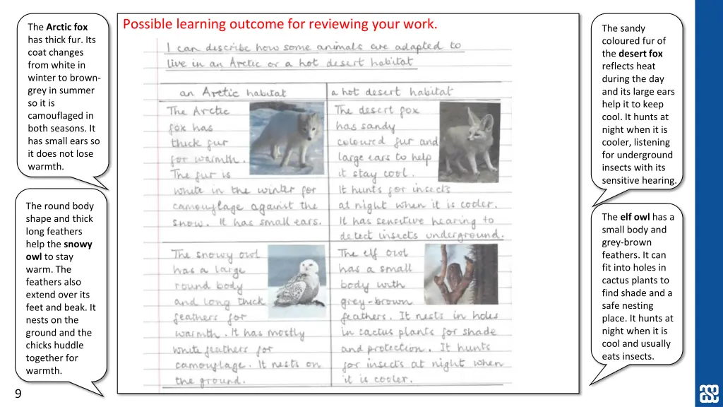 possible learning outcome for reviewing your work