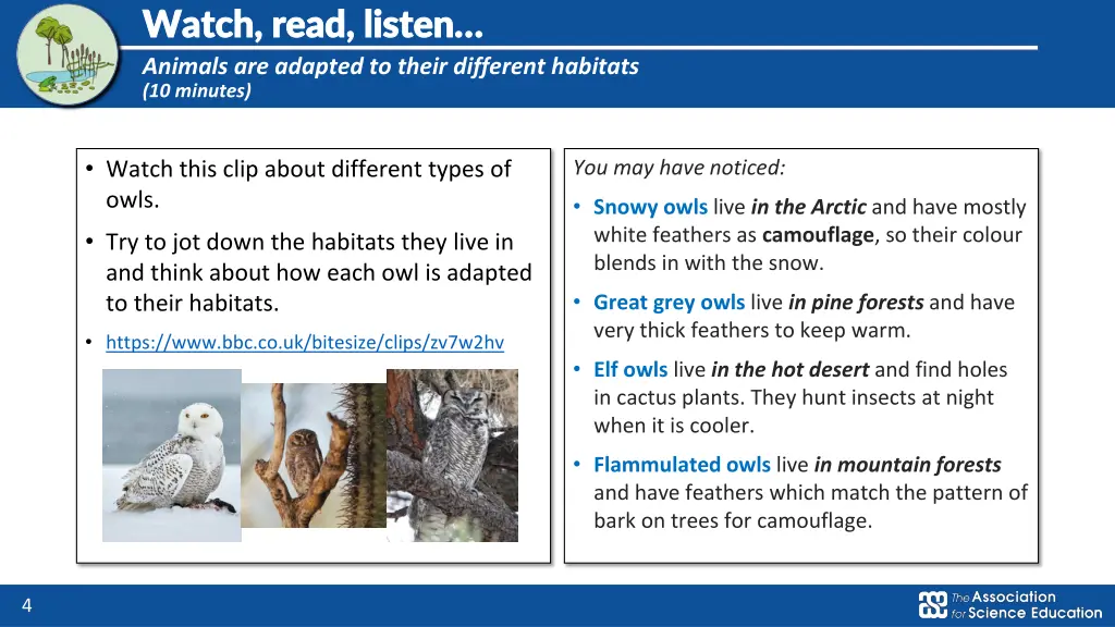 watch read listen watch read listen animals