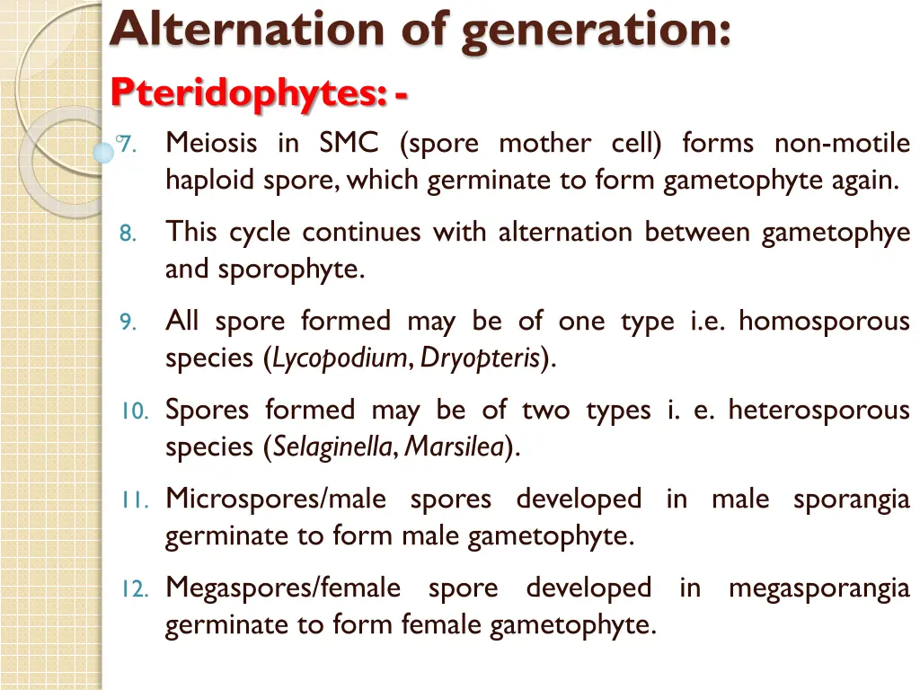 alternation of generation pteridophytes 1