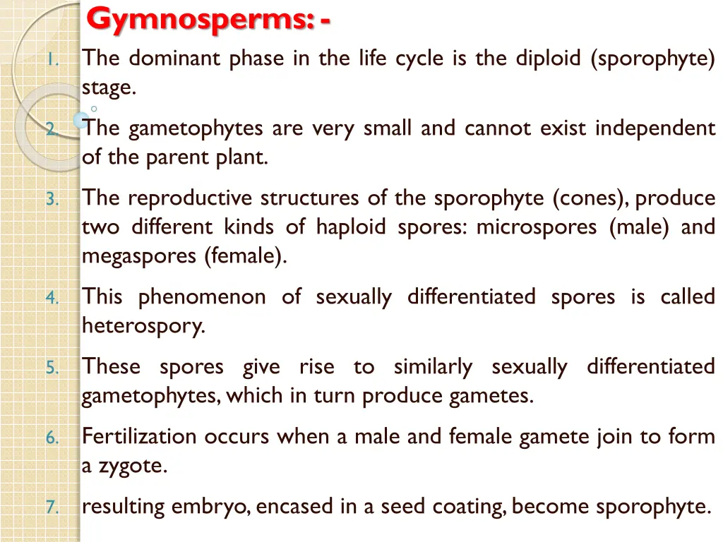 gymnosperms