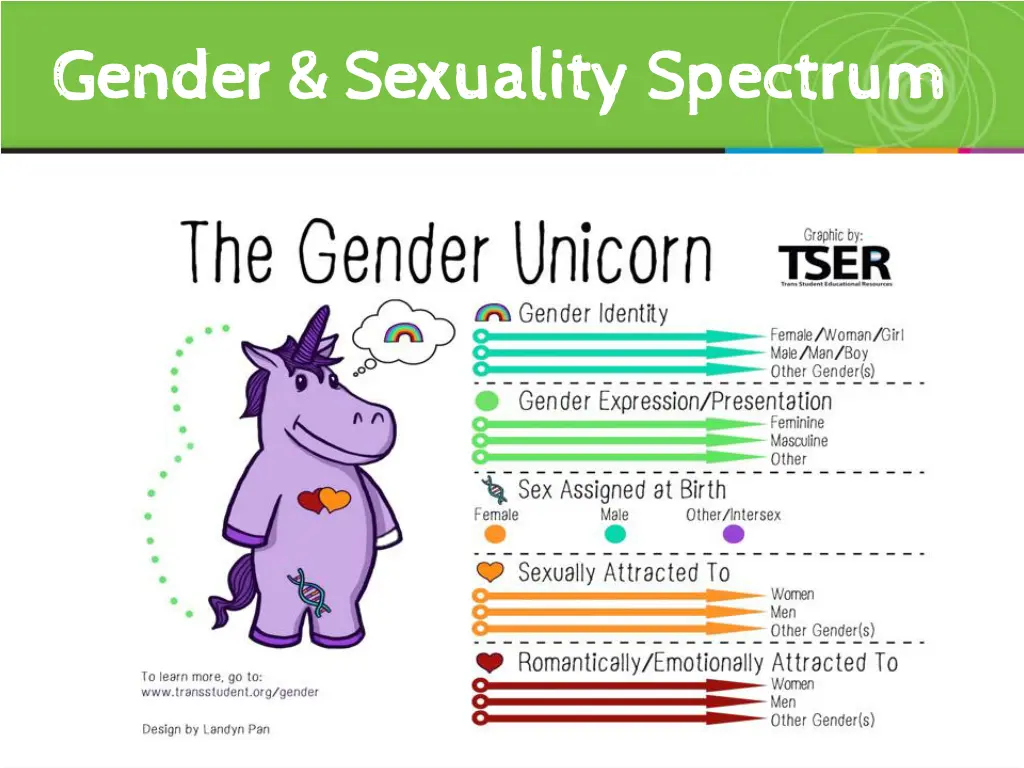 gender sexuality spectrum gender sexuality