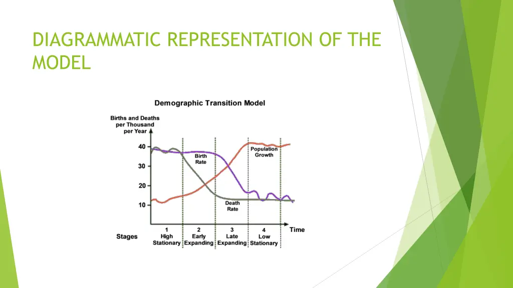 diagrammatic representation of the model